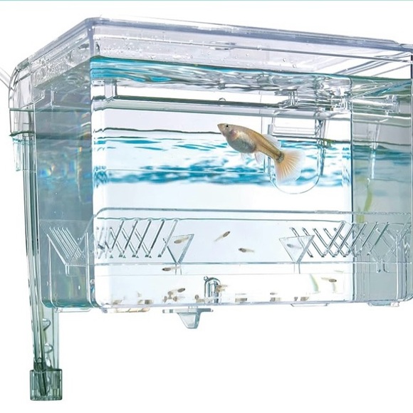 Fluval Multi-Chamber Holding and Breeding Box, Medium - Picture 4 of 4